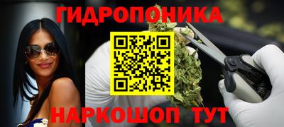 индика Старая Купавна