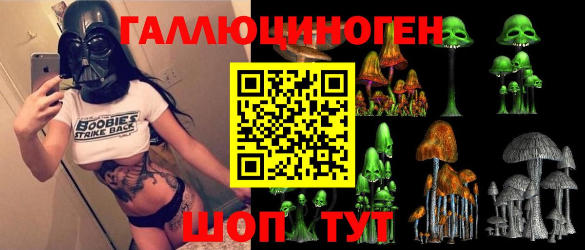 Галлюциногенные грибы Psilocybine cubensis  Вход с VPN  Псилоцибиновые грибы Cubensis  Новозыбков 