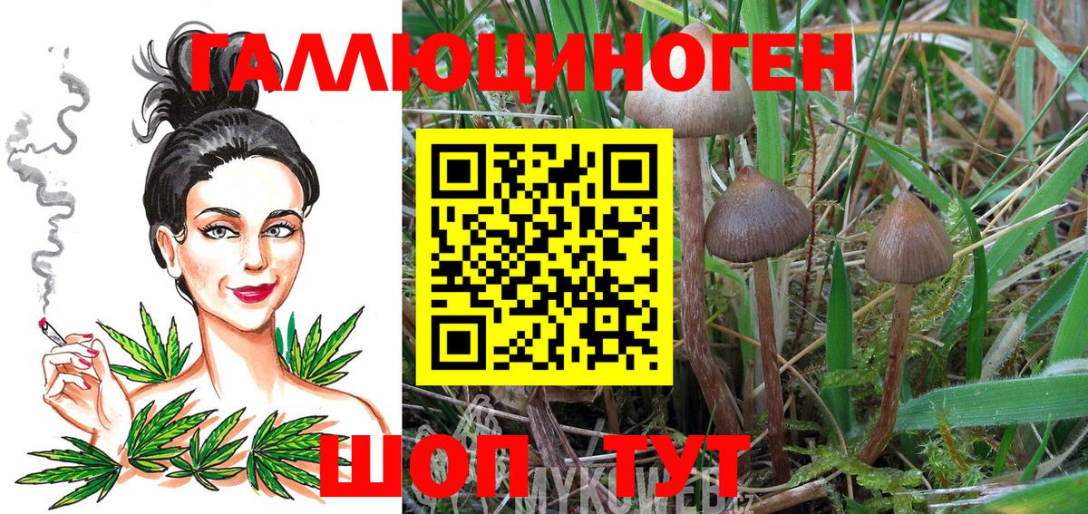 Псилоцибиновые грибы MAGIC MUSHROOMS Новозыбков